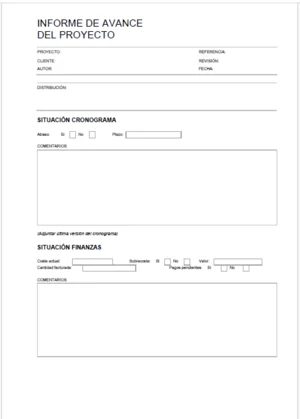 informe avance proyecto
