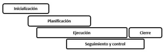 fases del proyecto