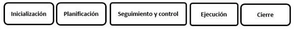 fases de un proyecto
