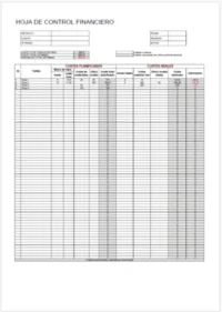 formato control financiero